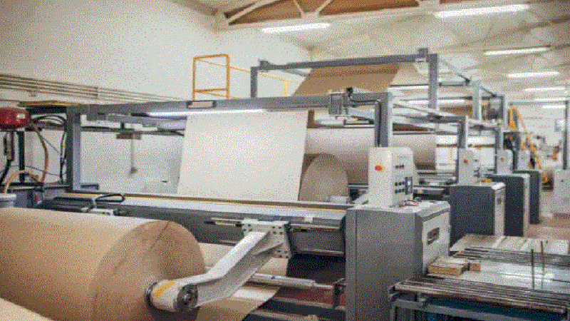The Future of Sustainable Packaging: Scaling Production with Automated Paper Bag Machines